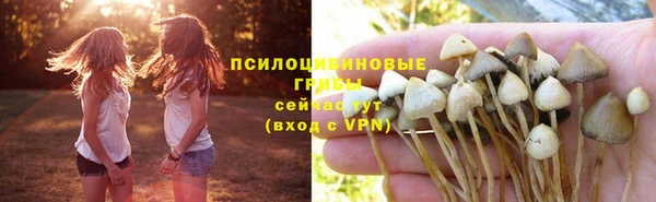 эйфоретик Аркадак