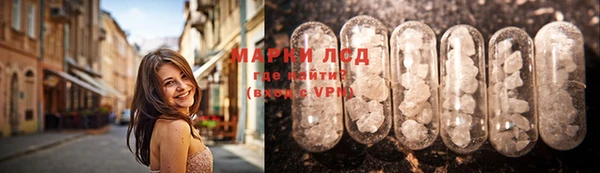эйфоретик Аркадак
