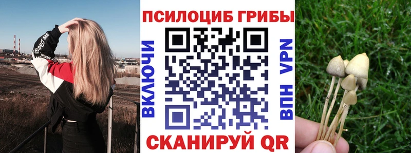 Галлюциногенные грибы Cubensis  Ишим 
