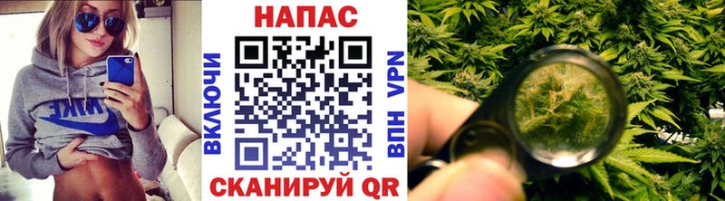 Каннабис конопля Ишим